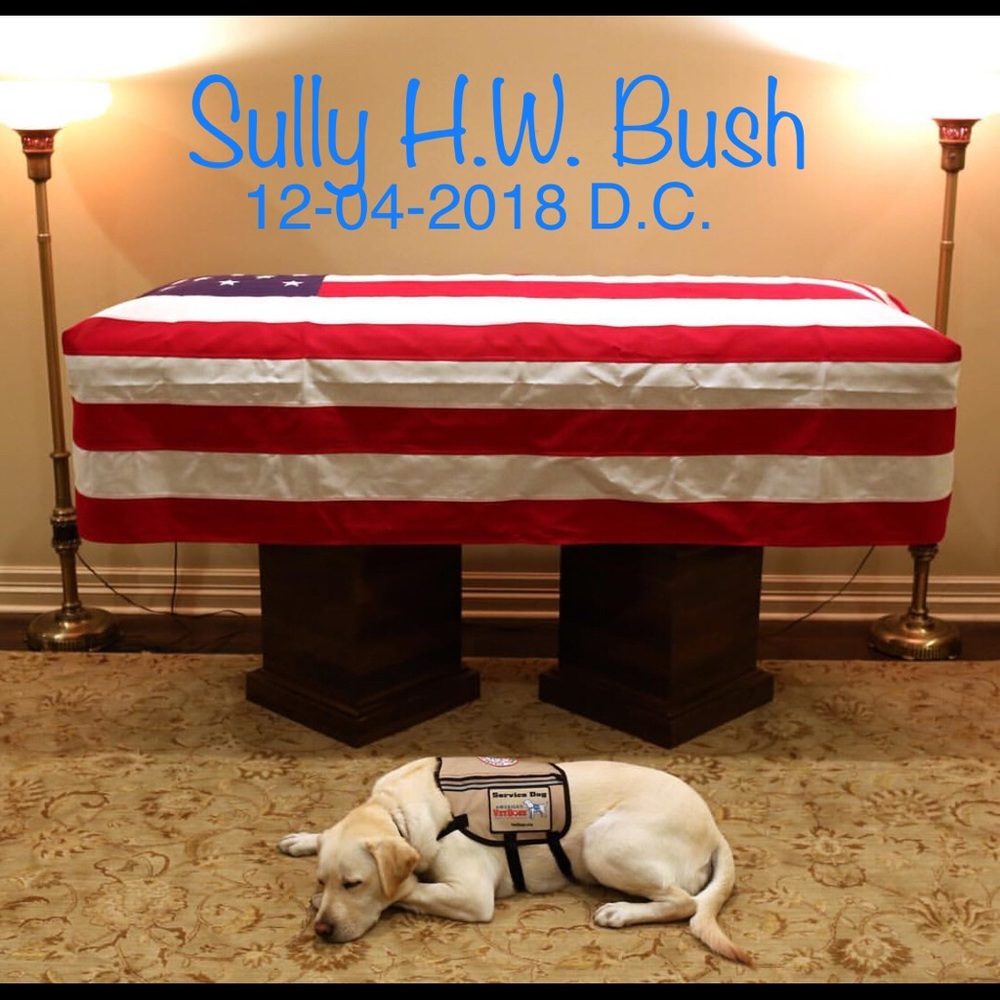 NFS: Sully HW Bush w/HW Lying in State🇺🇸
